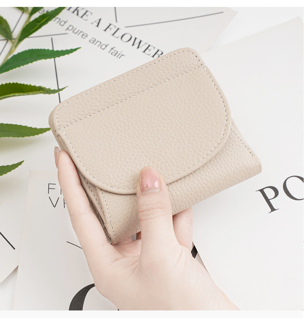 Hand holding ivory wallet over magazine with plant background